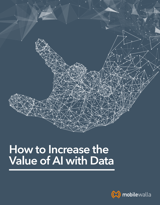 How Enriched Data Can Make AI and Your Organization Smarter